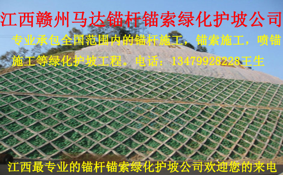 赣州马达锚杆锚索绿化护坡公司